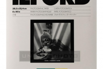 IlFord Multigrade IV Fb Fiber