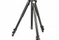 Manfrotto 055 PRO B